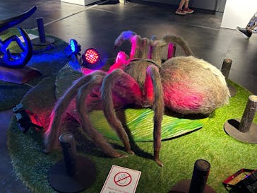 昆虫最強王図鑑展に投稿された画像（2023/7/29）