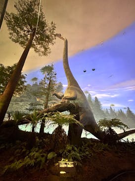 福井県立恐竜博物館に投稿された画像（2023/7/29）