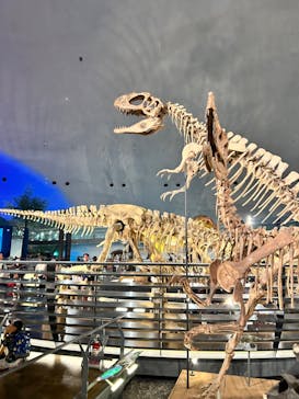 福井県立恐竜博物館に投稿された画像（2023/7/29）
