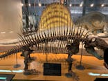 福井県立恐竜博物館に投稿された画像（2023/7/29）