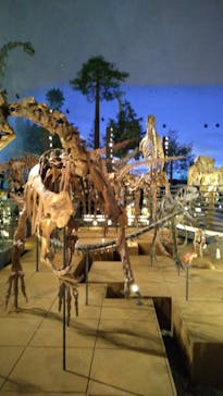 福井県立恐竜博物館に投稿された画像（2023/7/29）