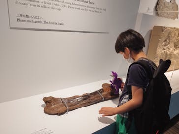 DinoScience 恐竜科学博 2023@TOKYO MIDTOWNに投稿された画像（2023/7/29）