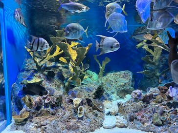 サンシャイン水族館に投稿された画像（2023/7/29）