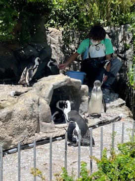サンシャイン水族館に投稿された画像（2023/7/29）