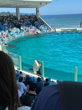 鴨川シーワールドに投稿された画像（2023/7/29）