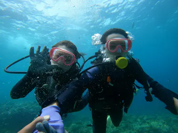 武藤潜水に投稿された画像（2023/7/29）