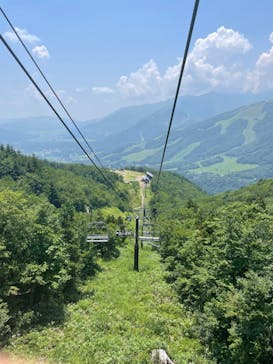 白馬岩岳マウンテンリゾートに投稿された画像（2023/7/29）
