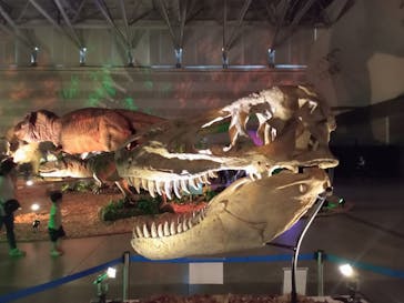 朱鷺メッセに投稿された画像（2023/7/29）