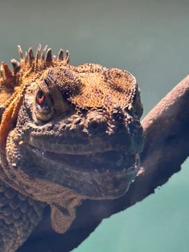 サンシャイン水族館に投稿された画像（2023/7/29）