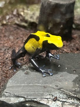 サンシャイン水族館に投稿された画像（2023/7/29）