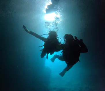 武藤潜水に投稿された画像（2023/7/29）