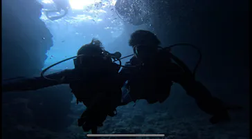 武藤潜水に投稿された画像（2023/7/29）