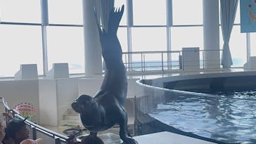 アクアワールド茨城県大洗水族館に投稿された画像（2023/7/29）