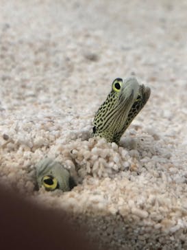 AOAO SAPPOROに投稿された画像（2023/7/29）