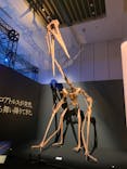 DinoScience 恐竜科学博 2023@TOKYO MIDTOWNに投稿された画像（2023/7/29）
