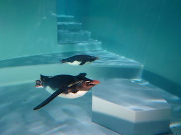 AOAO SAPPOROに投稿された画像（2023/7/29）