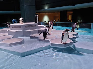 AOAO SAPPOROに投稿された画像（2023/7/29）