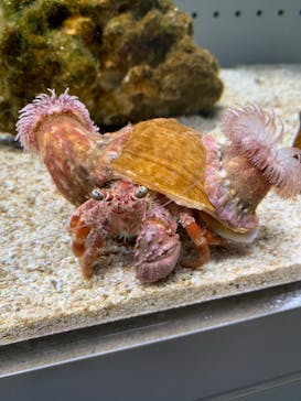 AOAO SAPPOROに投稿された画像（2023/7/29）