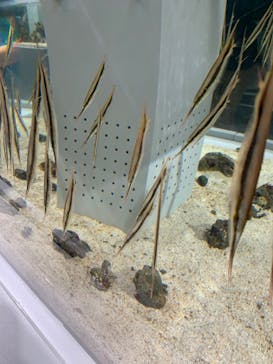 AOAO SAPPOROに投稿された画像（2023/7/29）