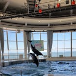 アクアワールド茨城県大洗水族館に投稿された画像（2023/7/29）