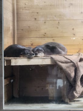 アクアワールド茨城県大洗水族館に投稿された画像（2023/7/29）