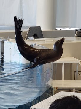 アクアワールド茨城県大洗水族館に投稿された画像（2023/7/29）