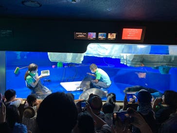 サンシャイン水族館に投稿された画像（2023/7/29）