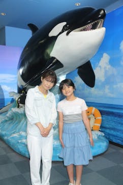 名古屋港水族館に投稿された画像（2023/7/29）