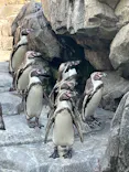 仙台うみの杜水族館に投稿された画像（2023/7/29）