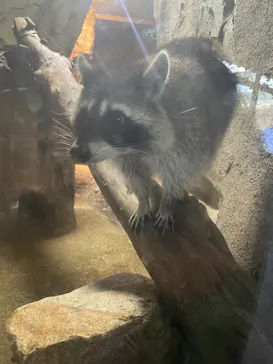 神戸どうぶつ王国に投稿された画像（2023/7/29）