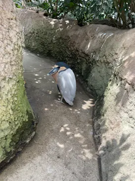 神戸どうぶつ王国に投稿された画像（2023/7/29）