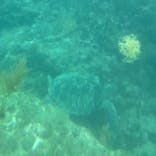 串本海中公園水族館に投稿された画像（2023/7/29）