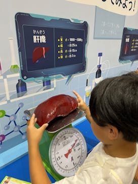 超からだのひみつ大冒険 in 新潟に投稿された画像（2023/7/29）