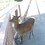 伊豆アニマルキングダムに投稿された画像（2023/7/29）