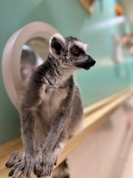 アニタッチアクアシティお台場に投稿された画像（2023/7/29）