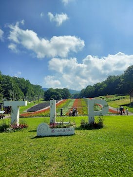 たんばらラベンダーパークに投稿された画像（2023/7/29）