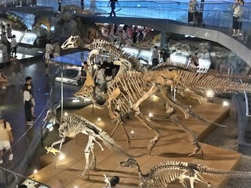 福井県立恐竜博物館に投稿された画像（2023/7/29）