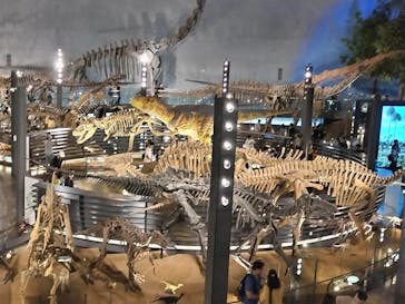 福井県立恐竜博物館に投稿された画像（2023/7/29）