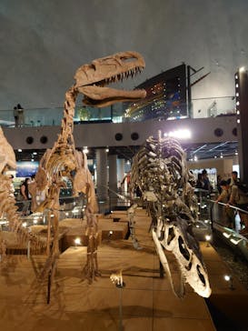 福井県立恐竜博物館に投稿された画像（2023/7/29）