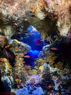 サンシャイン水族館に投稿された画像（2023/7/29）