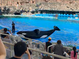 名古屋港水族館に投稿された画像（2023/7/29）