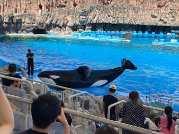 名古屋港水族館に投稿された画像（2023/7/29）