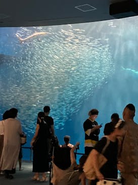 名古屋港水族館に投稿された画像（2023/7/29）