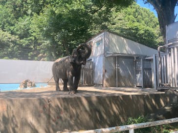 宇都宮動物園に投稿された画像（2023/7/29）