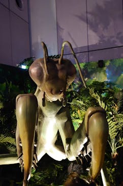 「科学漫画サバイバル」シリーズ 絶体絶命！？キミたちのサバイバルに投稿された画像（2023/7/29）