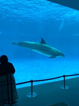 名古屋港水族館に投稿された画像（2023/7/29）