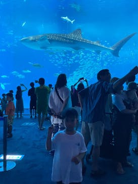 沖縄美ら海水族館に投稿された画像（2023/7/29）