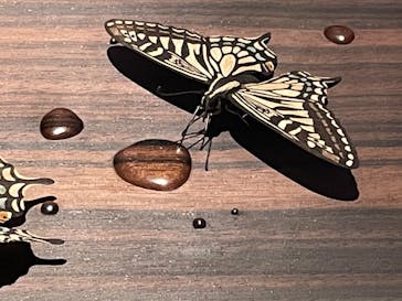 あべのハルカス美術館に投稿された画像（2023/7/29）