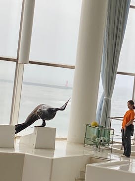 アクアワールド茨城県大洗水族館に投稿された画像（2023/7/29）