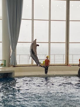 アクアワールド茨城県大洗水族館に投稿された画像（2023/7/29）